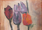 Tulpen